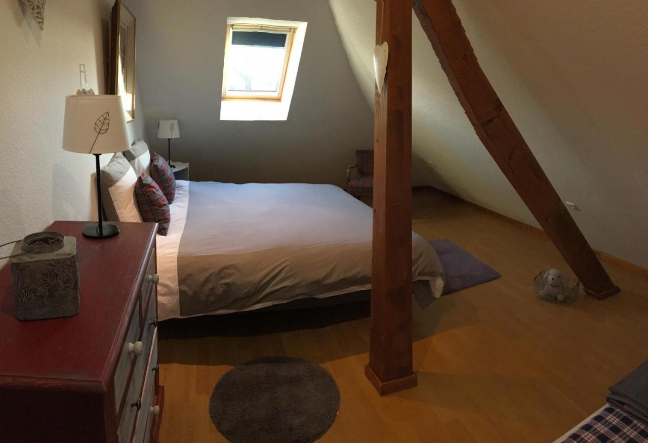 Les Appartements D'Estelle La Petite-Pierre Luaran gambar
