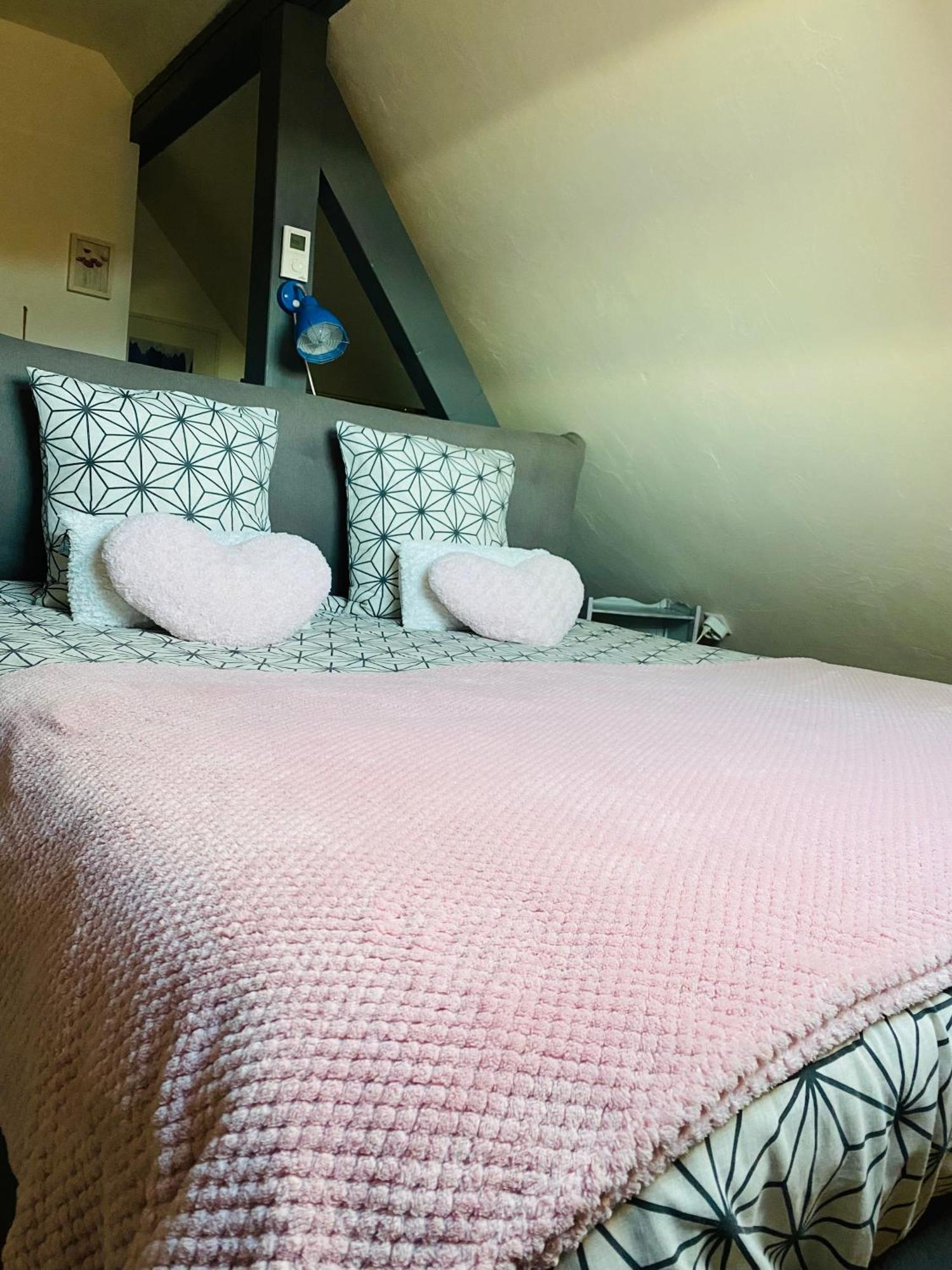 Les Appartements D'Estelle La Petite-Pierre Luaran gambar