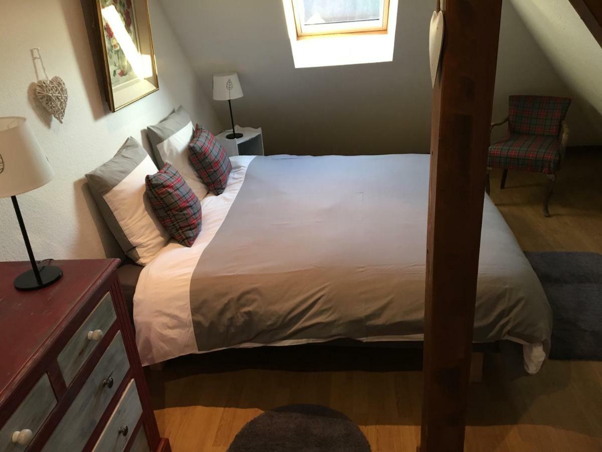 Les Appartements D'Estelle La Petite-Pierre Luaran gambar
