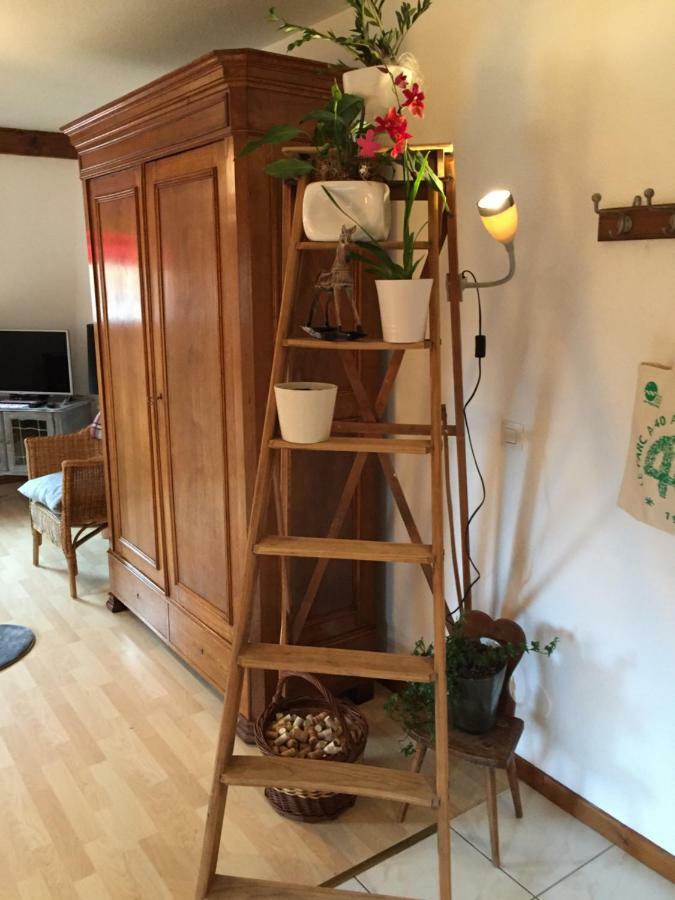 Les Appartements D'Estelle La Petite-Pierre Luaran gambar