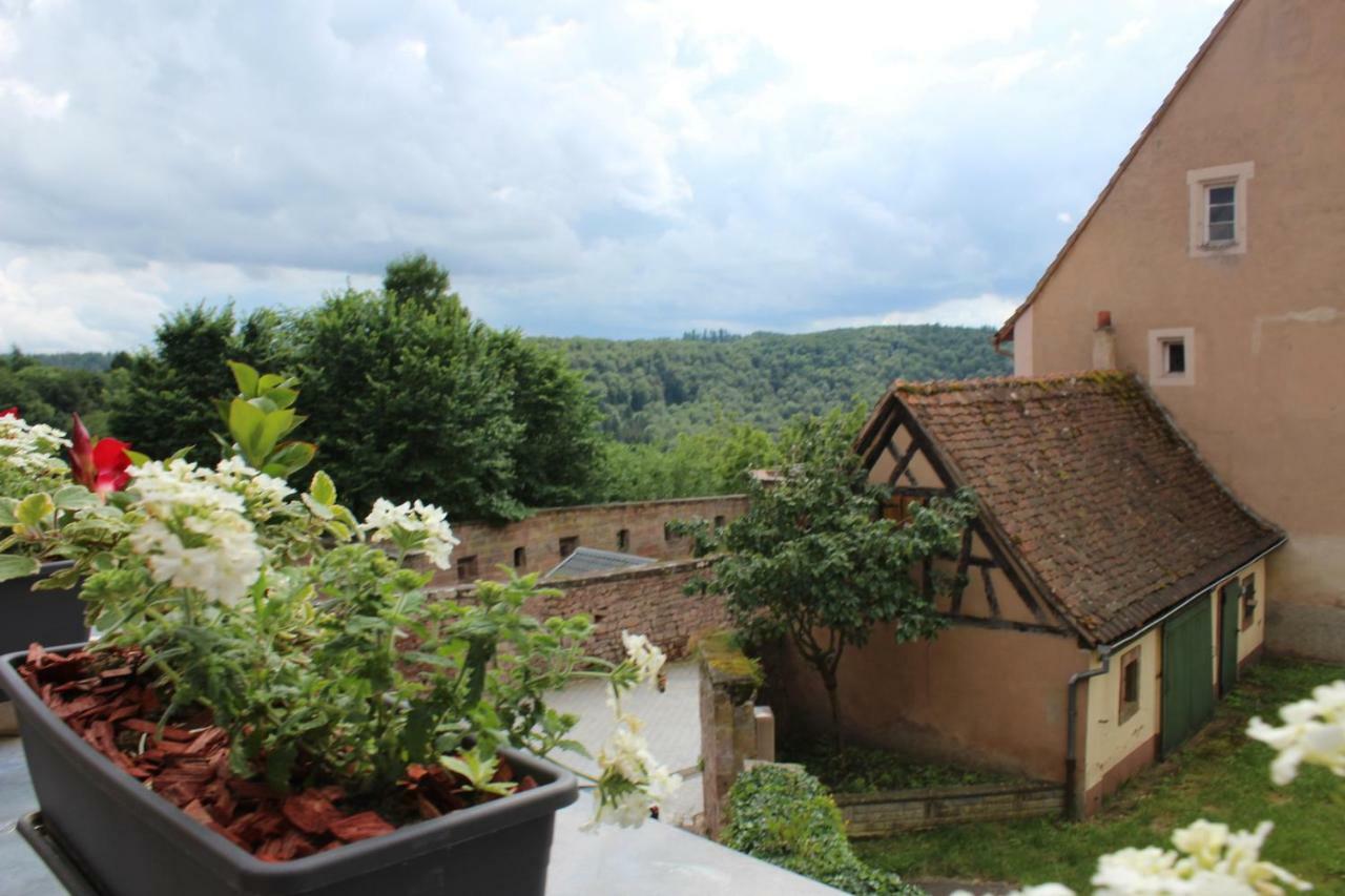 Les Appartements D'Estelle La Petite-Pierre Luaran gambar