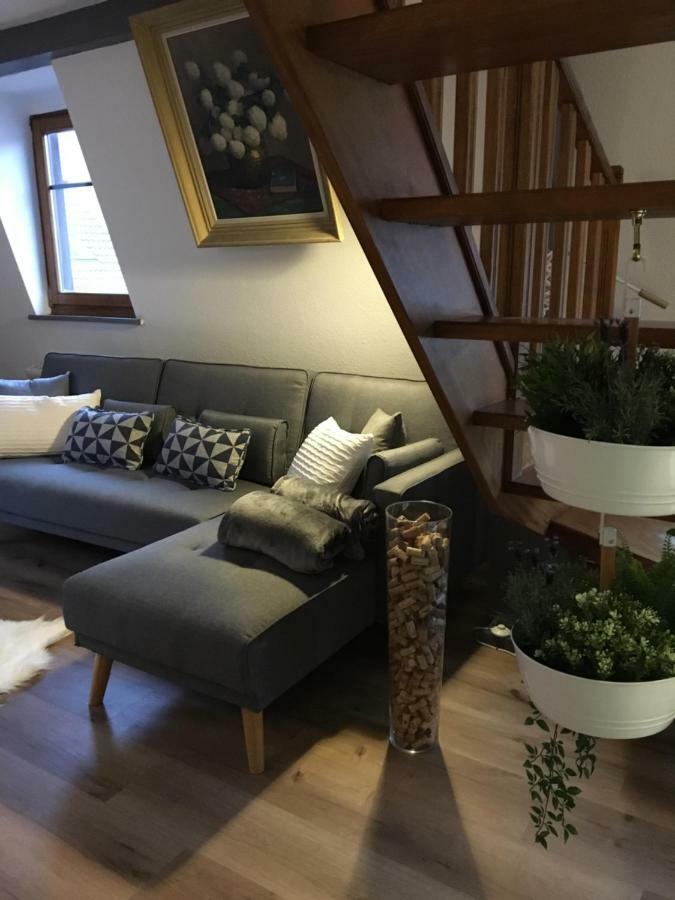 Les Appartements D'Estelle La Petite-Pierre Luaran gambar